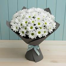 Букет цветов из:  Хризантемы #REPLACE_PRED# Алексеевке Белгородской области