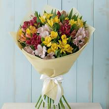 Букет цветов из:  Альстромерии в Алексеевке Белгородской области