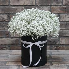 Цветочная композиция из Гипсофила в шляпной коробке в Алексеевке Белгородской области